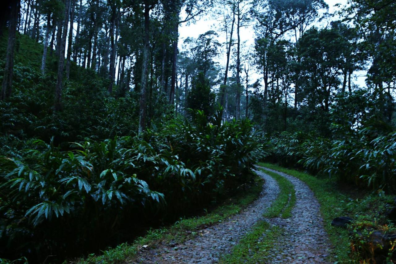 Dew Drops Farm Resorts Munnar Exterior foto