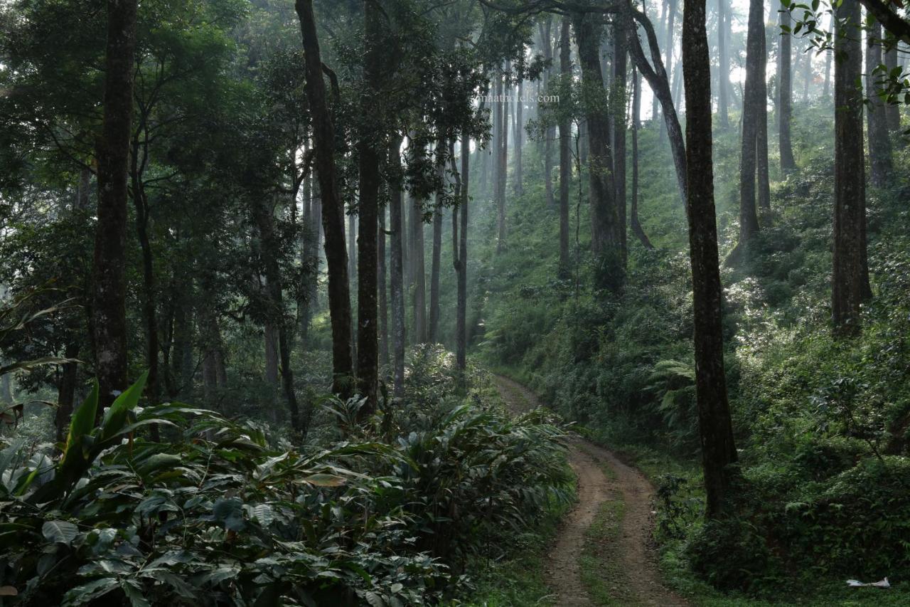 Dew Drops Farm Resorts Munnar Exterior foto